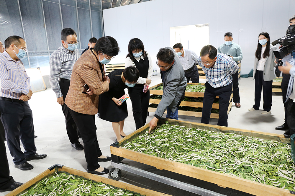 http://nwzimg.wezhan.cn/contents/sitefiles2006/10031570/images/29943417.jpg